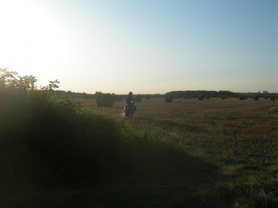 scootertripa311