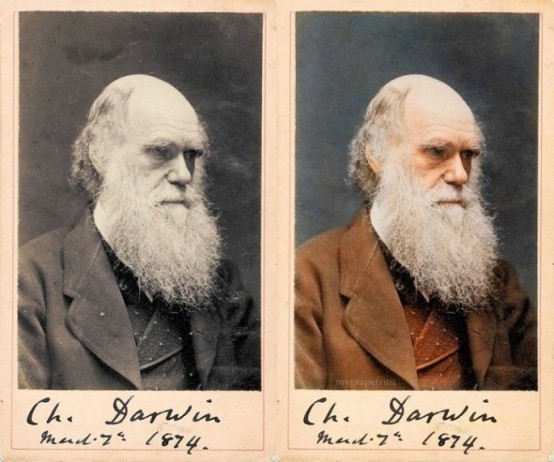 Darwin